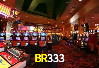Recursos App BR333