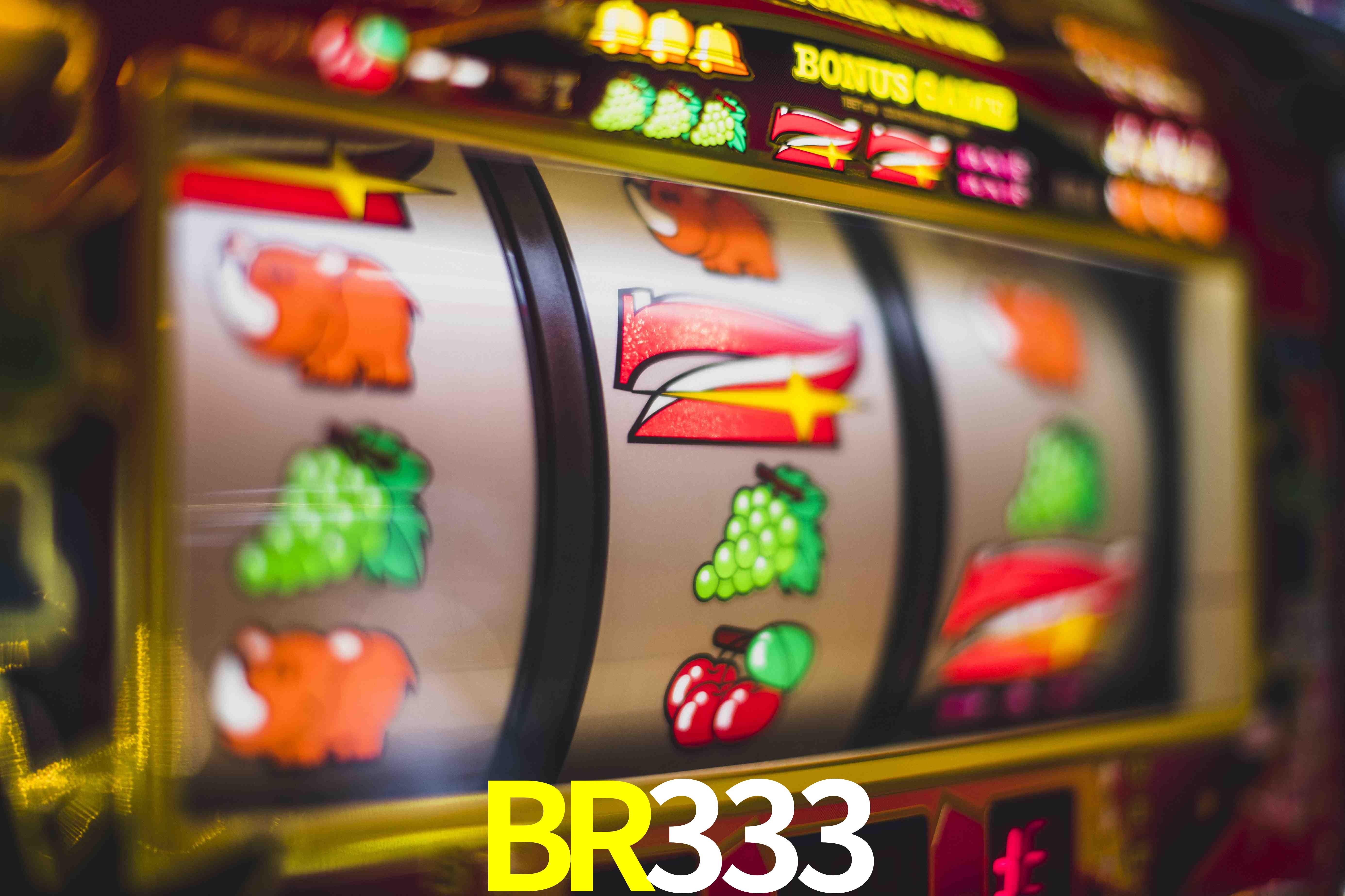 Evolução VIP BR333