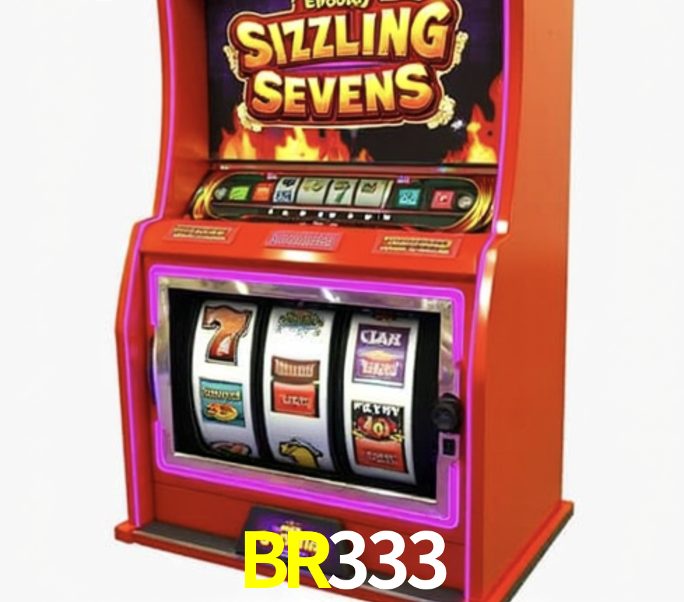 BR333 Aplicativo - BR333 visual 2