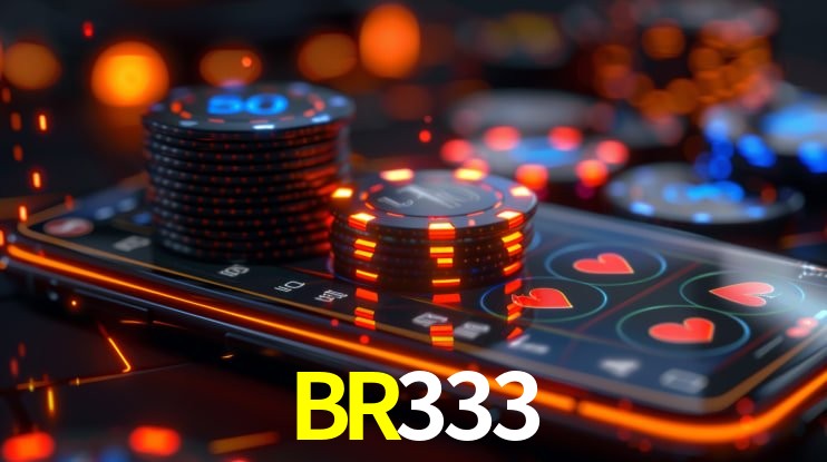 BR333