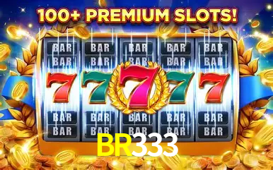 Níveis VIP BR333
