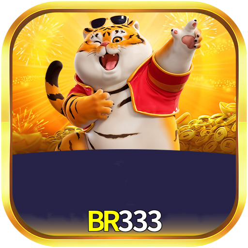 BR333