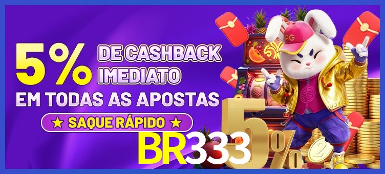 BR333